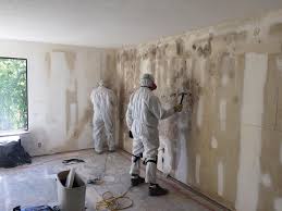 Best Mold Documentation for Insurance Claims  in USA